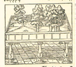 Die Hängenden Gärten von Babylon