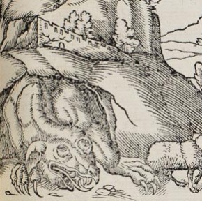 Der Drache von Krakau