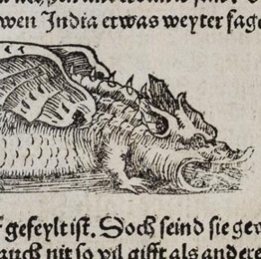 ‚Drachenschlange‘