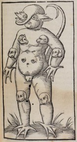 Das Wundermonster von Krakau